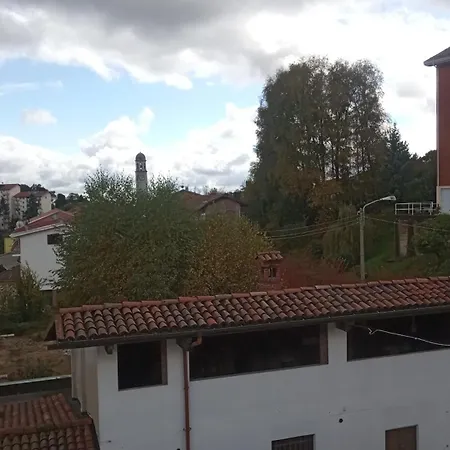 Vicky's House *