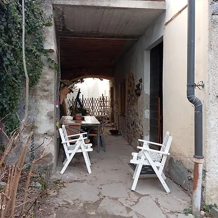 Vicky's House